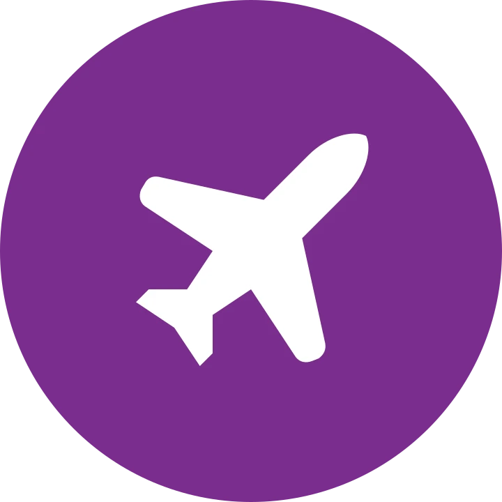 Logo Violeta Turismo